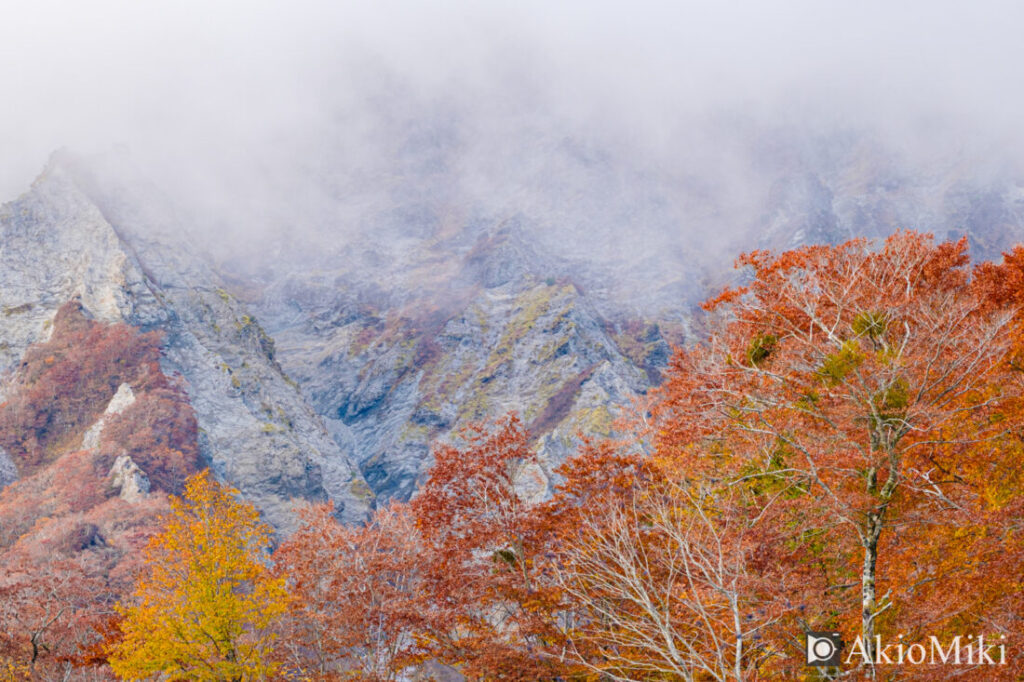 三の沢でみる鳥取県の大山