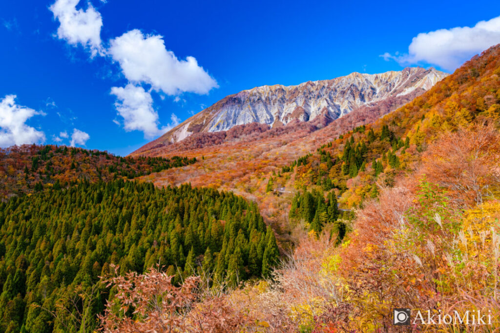 紅葉して赤くなった秋の大山