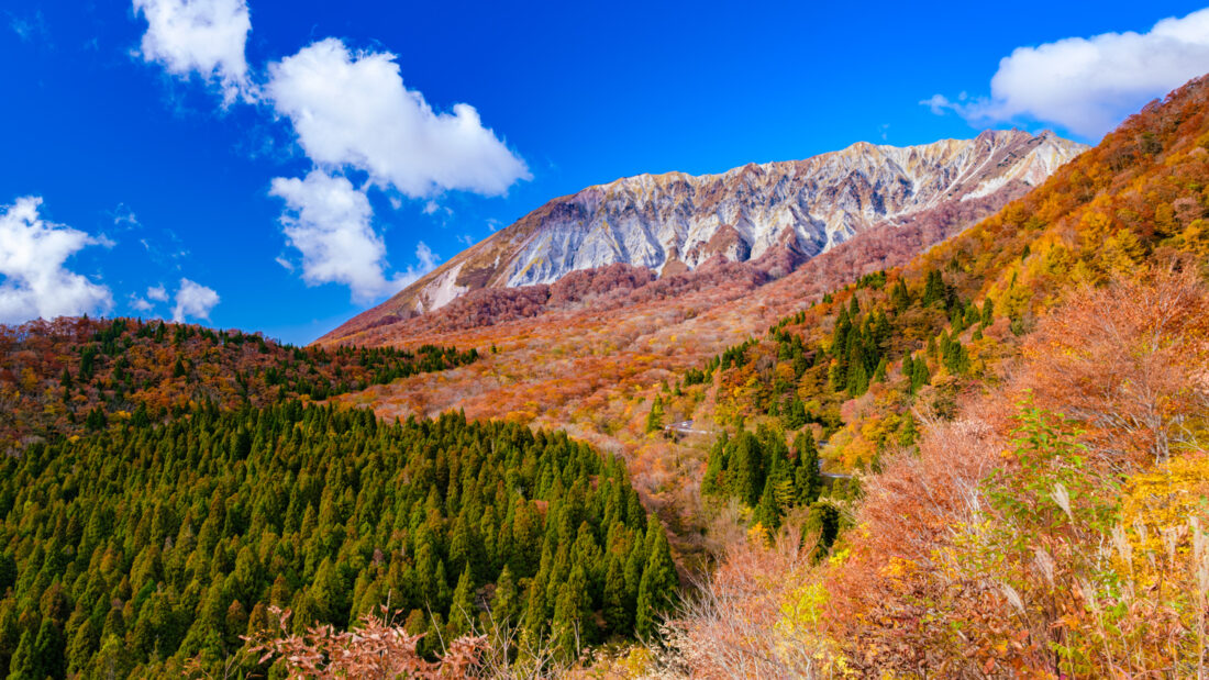 秋の大山のサムネイル