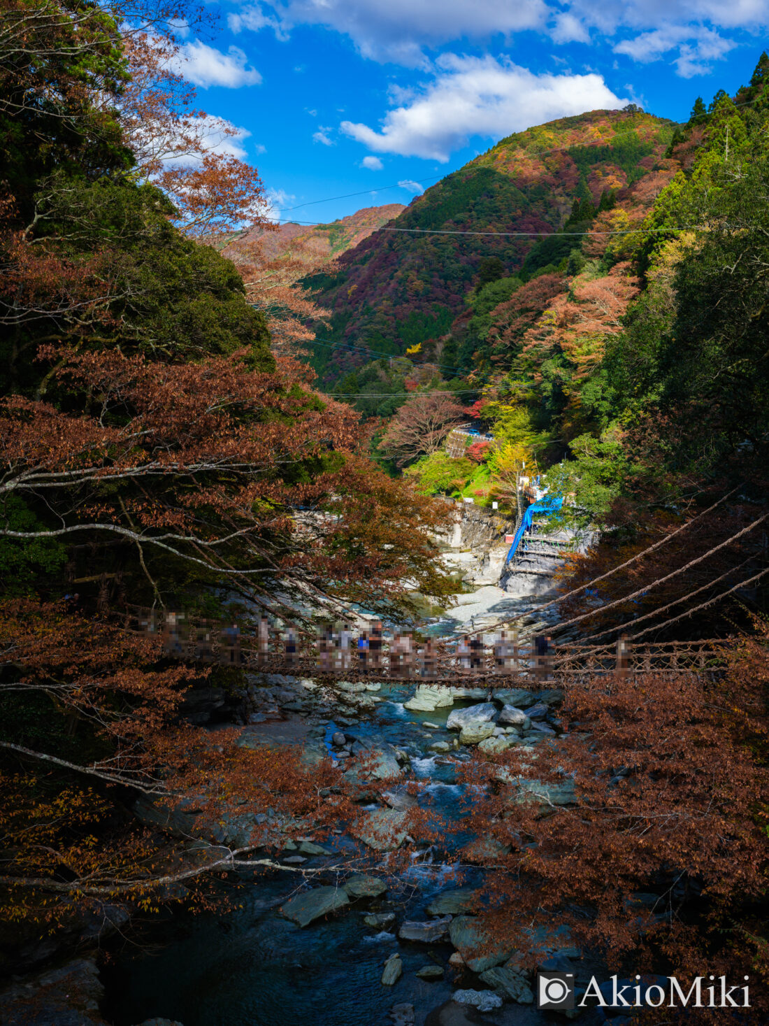 秋の祖谷のかずら橋