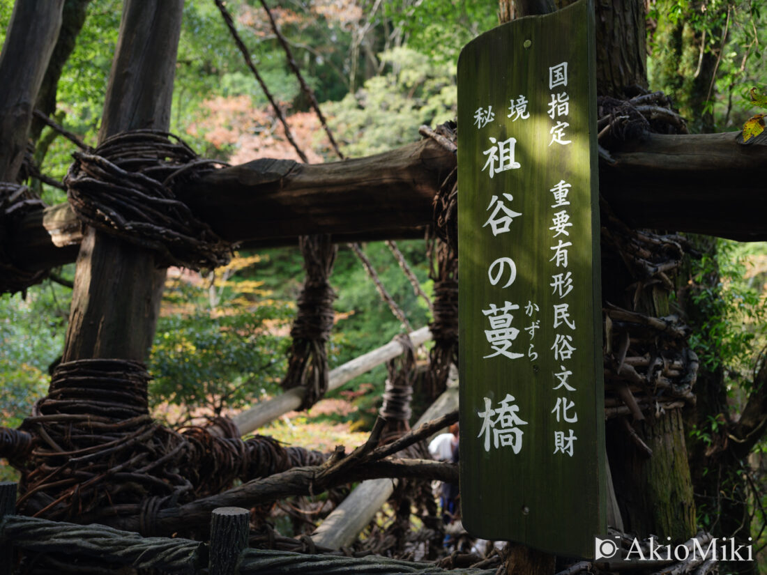 秋の祖谷のかずら橋