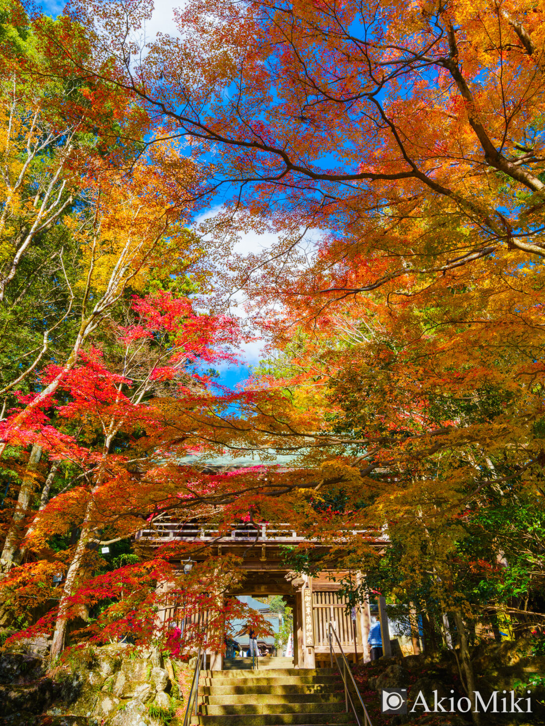 秋の大窪寺