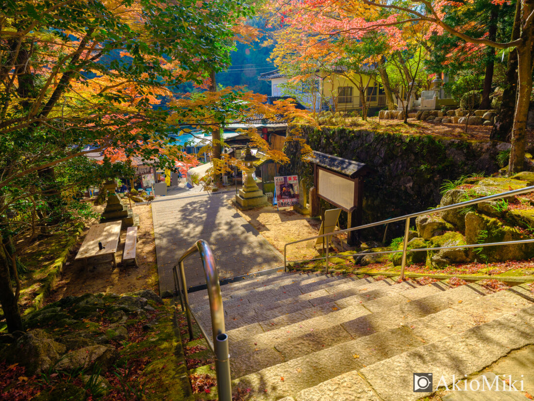 秋の大窪寺