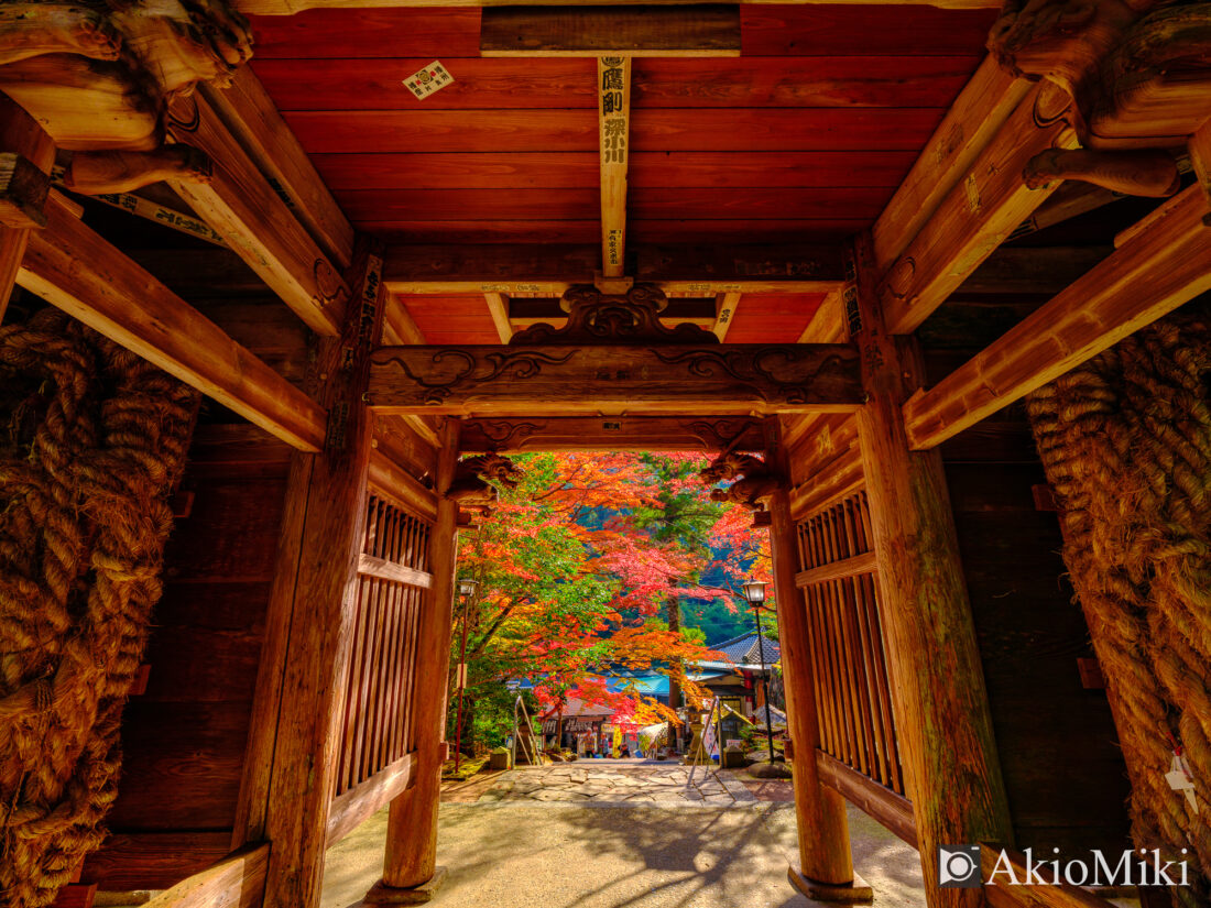 香川県の大窪寺