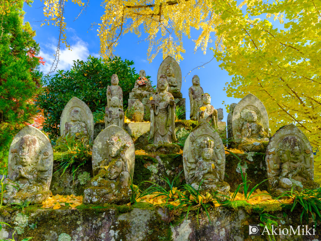 秋の大窪寺