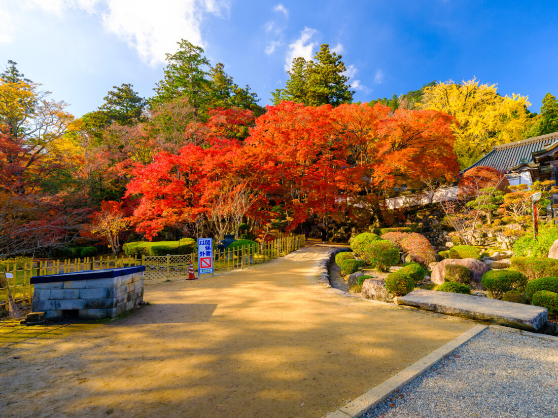 秋の大窪寺