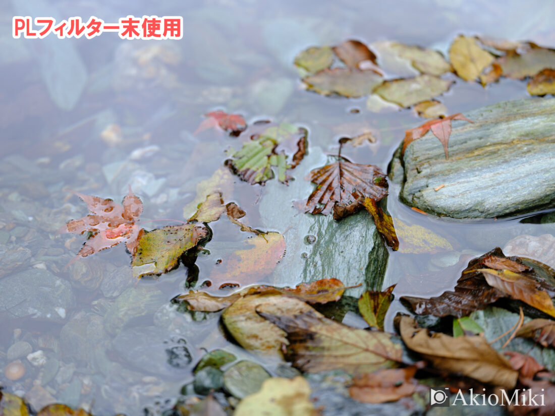 PLフィルターで水面の反射を抑えていない画像