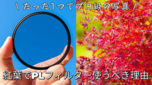 紅葉撮影でPLフィルターを使うべき理由 サムネイル