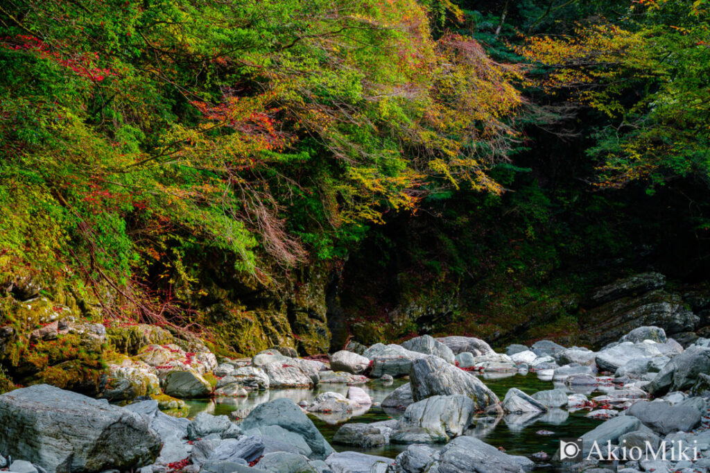 安居渓谷の水晶淵の紅葉