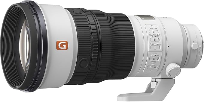 FE 300mm F2.8 GM OSS