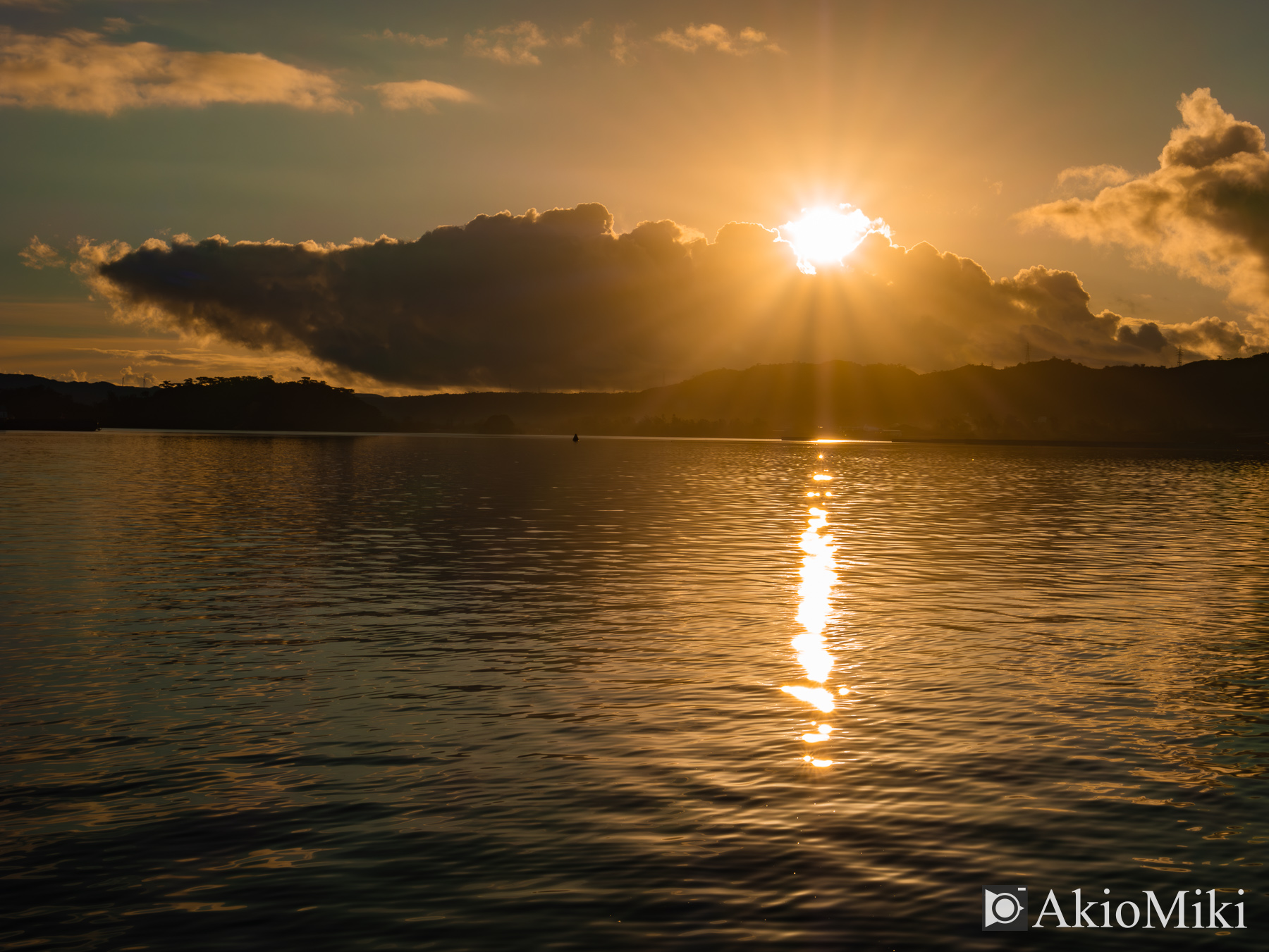 8-25mm F4の逆光耐性