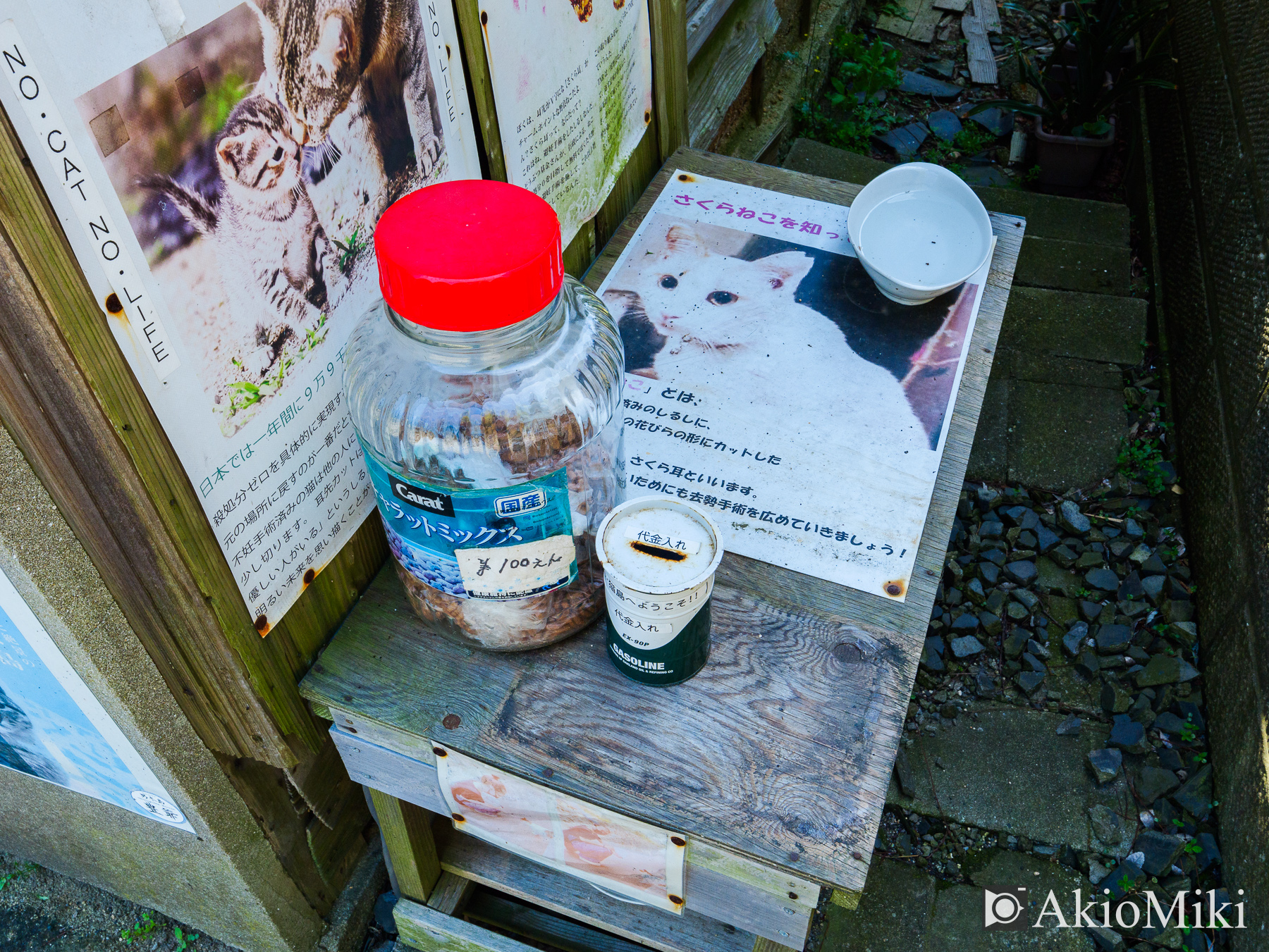 男木島　島猫用の餌