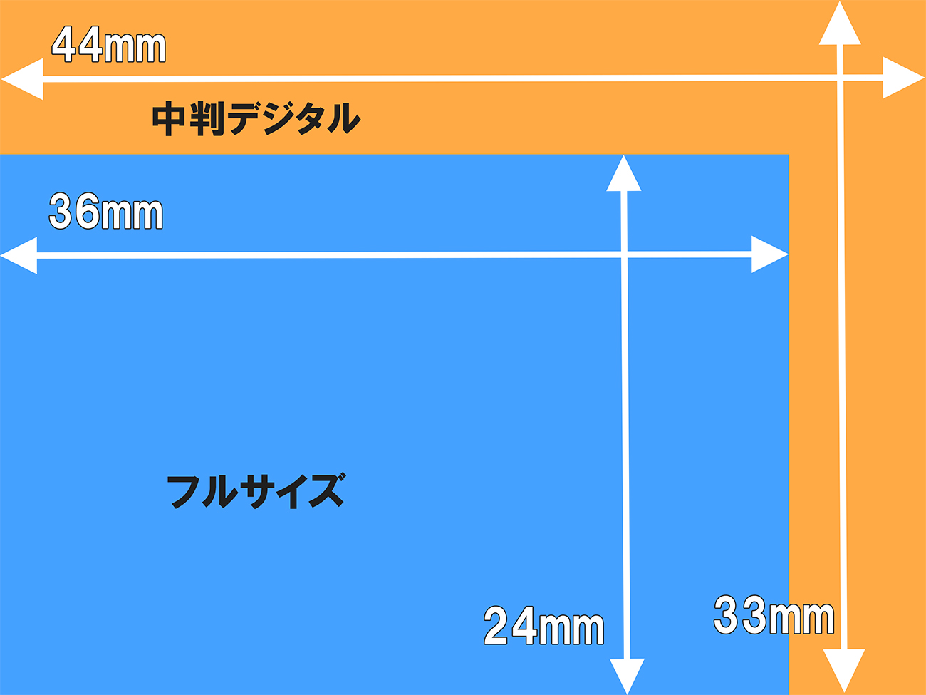 カメラ 中 判 フル コレクション サイズ