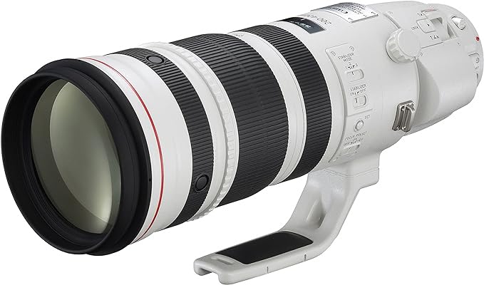 EF200-400mm F4 L IS USM EXTENDER1.4×