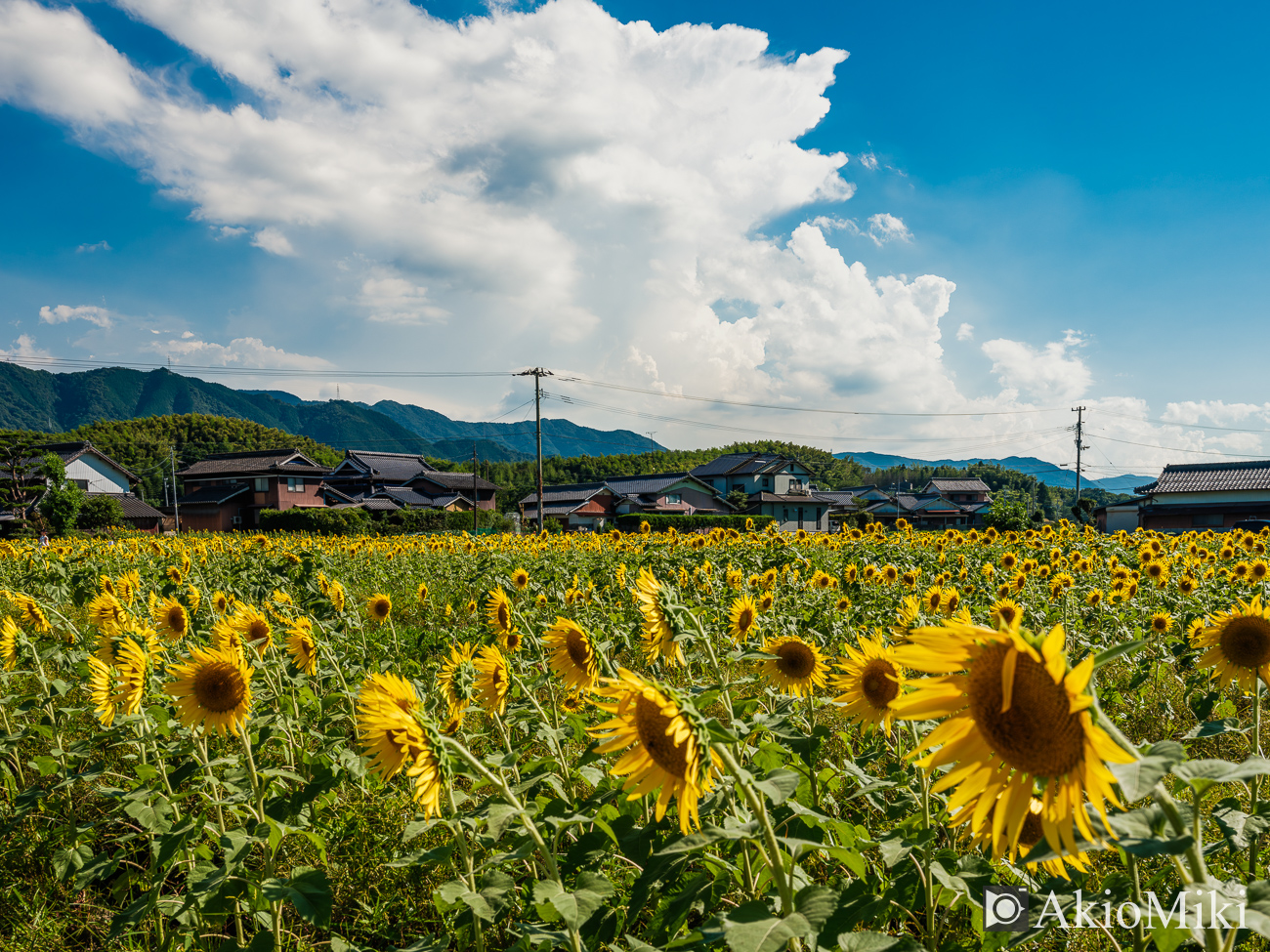 入道雲が浮かぶ香川県のまんのう町の風景