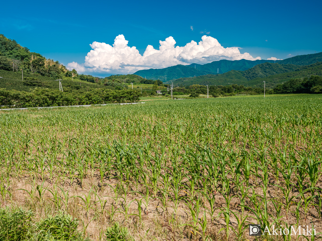 入道雲が浮かぶ香川県のまんのう町の風景