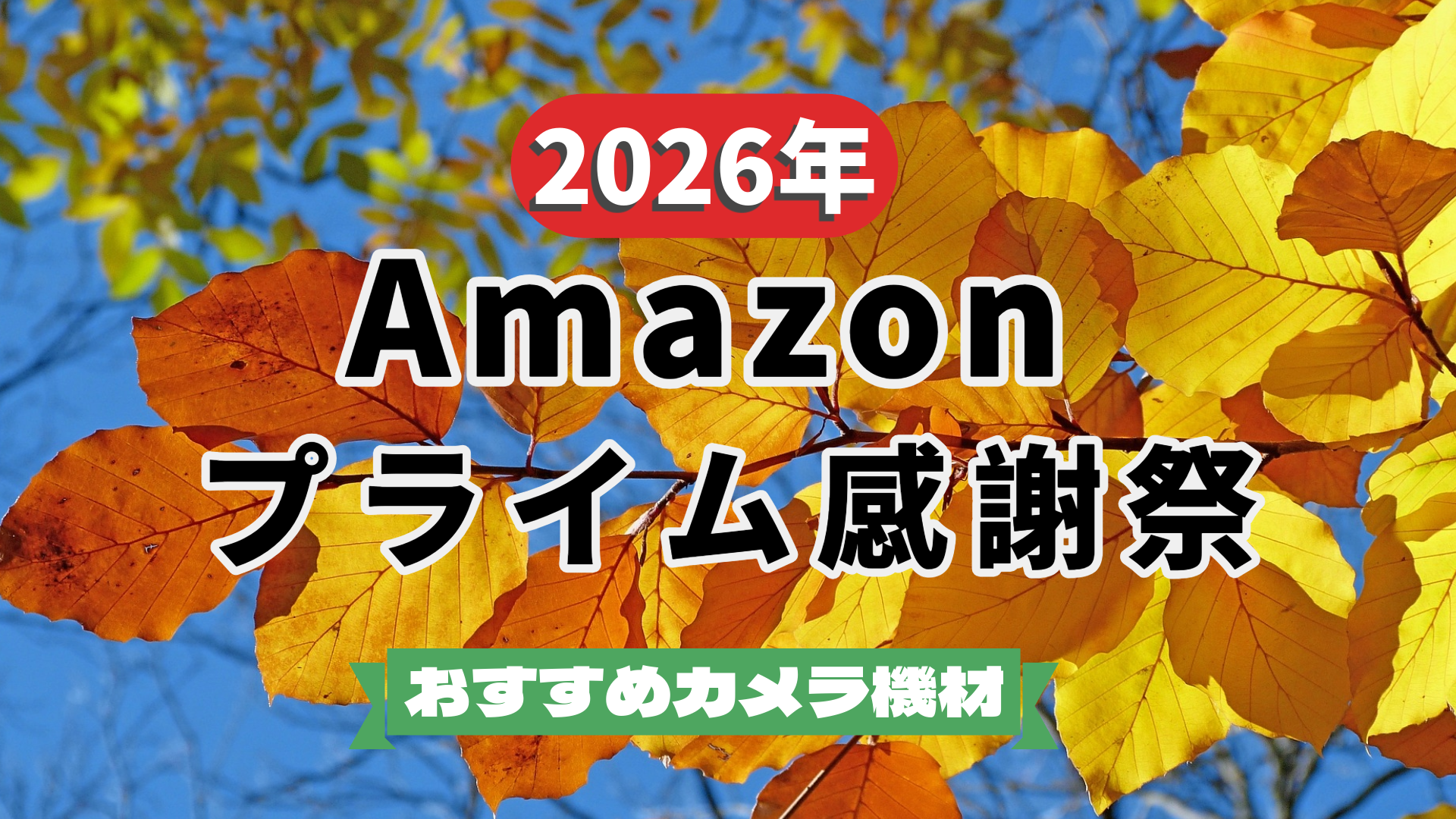 Amazonプライム感謝祭