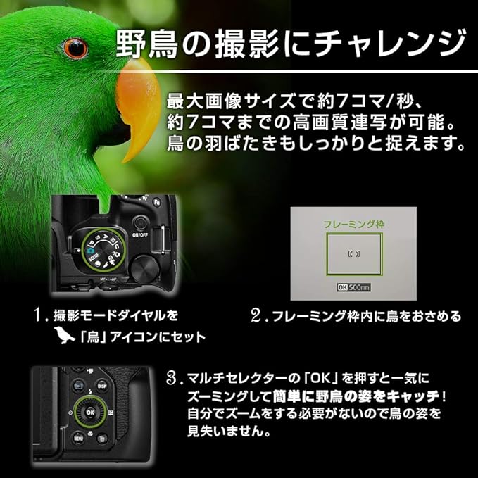 Nikon COOLPIX P1000
