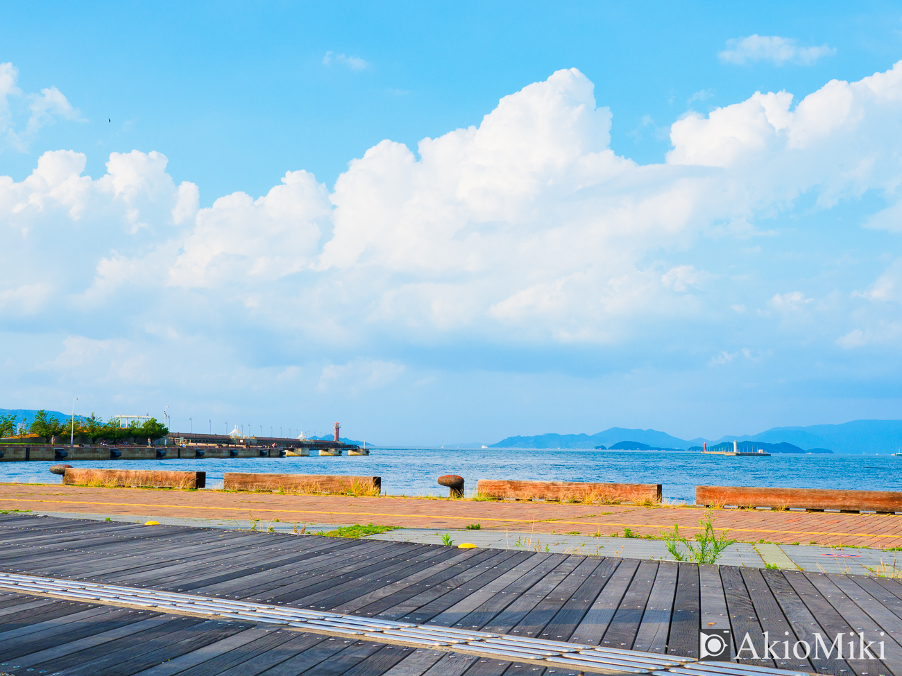 OM-D E-M1 II + M.ZUIKO 12-100mm F4
