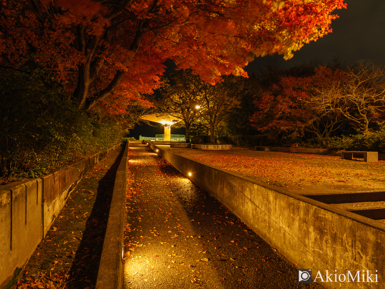 愛媛県　具定展望台　夜景