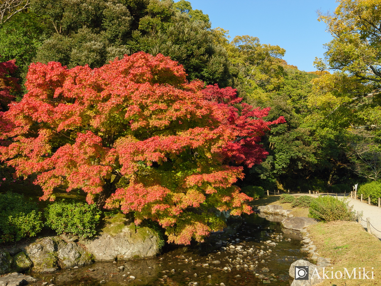 秋の栗林公園　昼