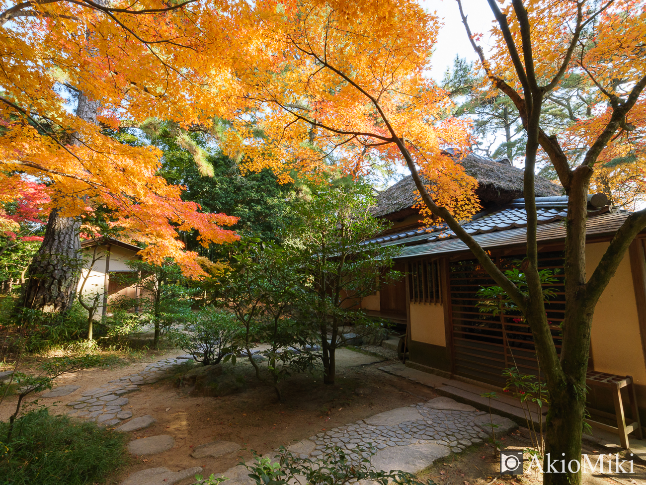 秋の栗林公園　昼