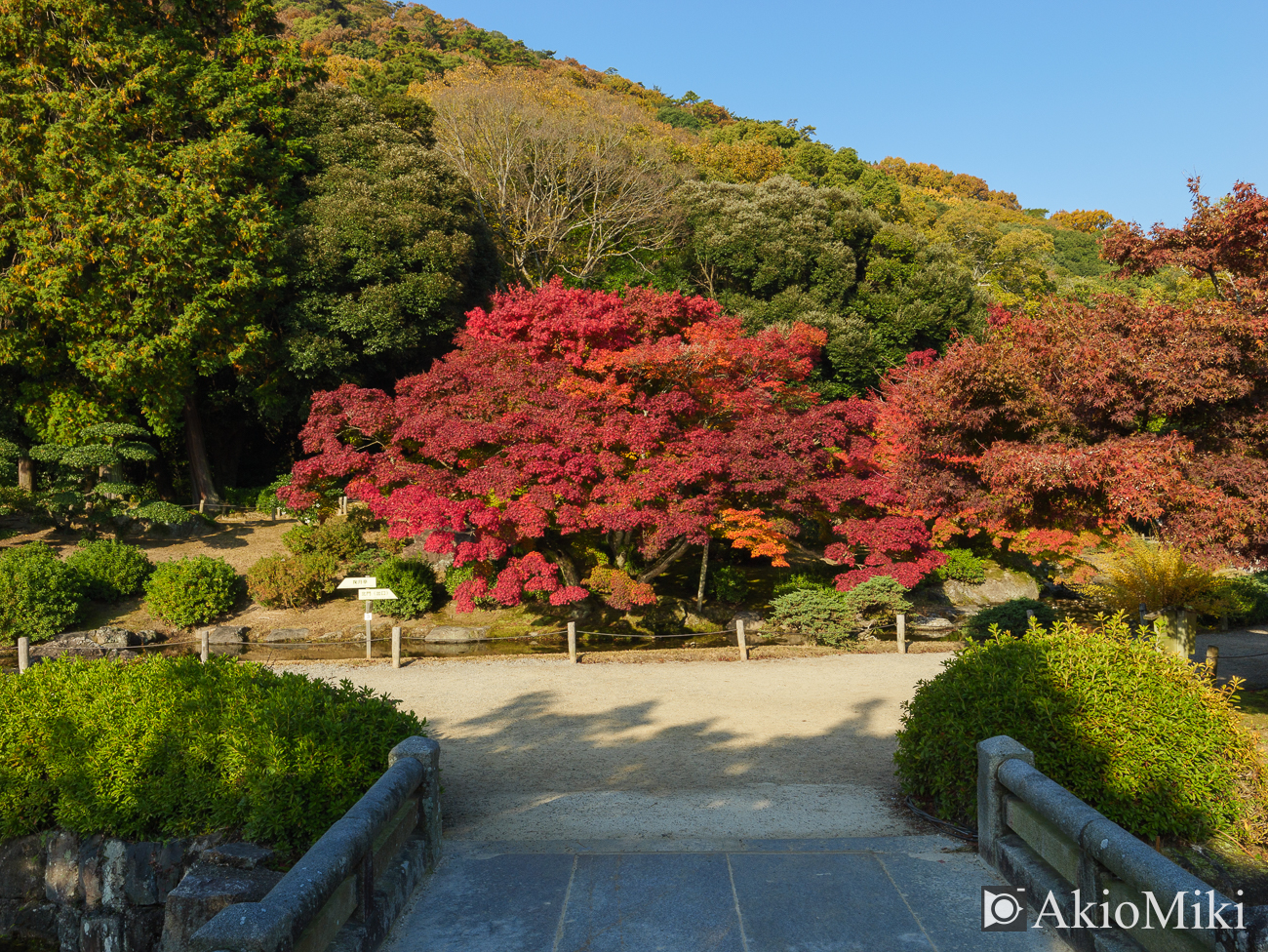 秋の栗林公園　昼