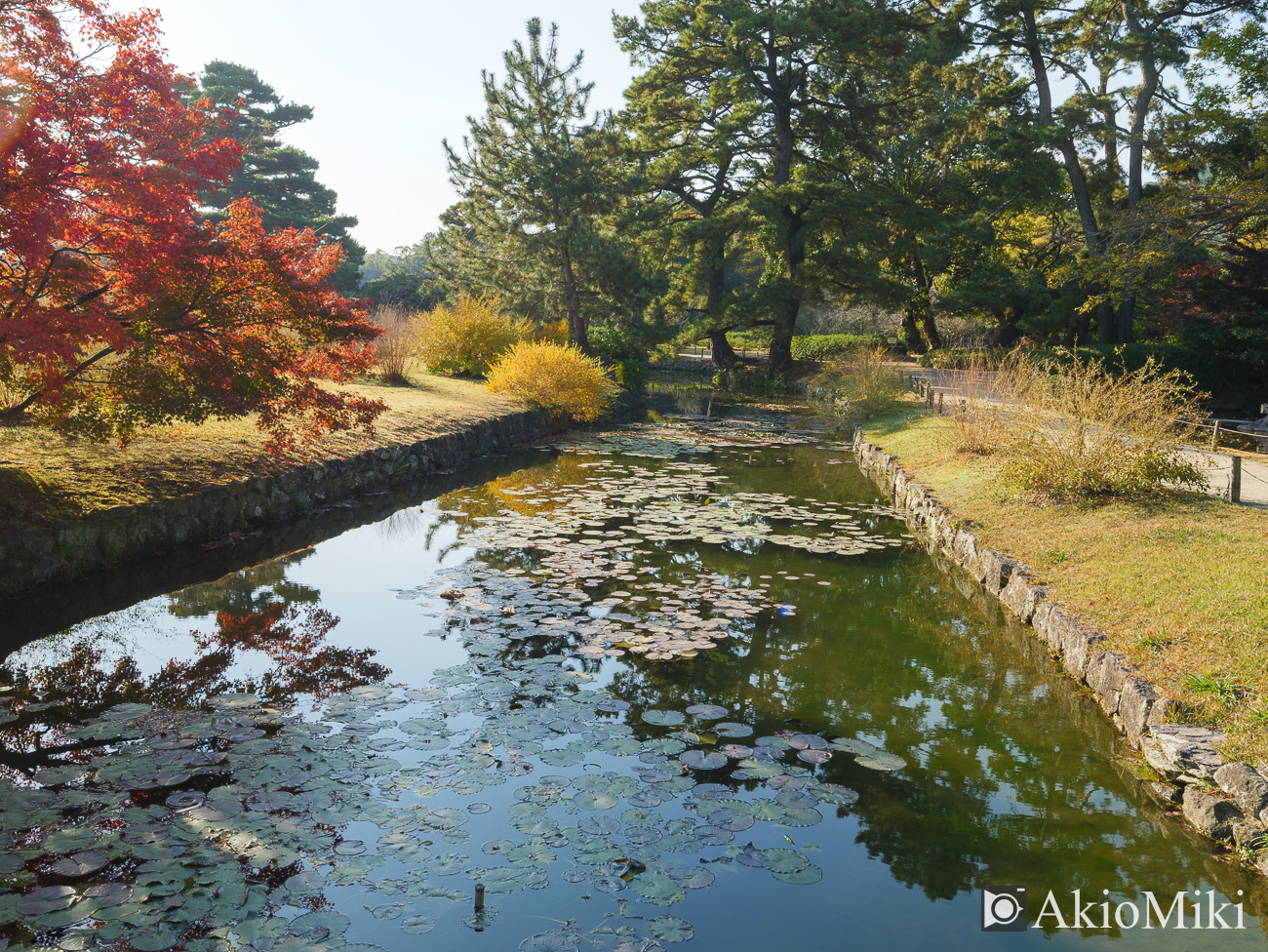 秋の栗林公園　昼