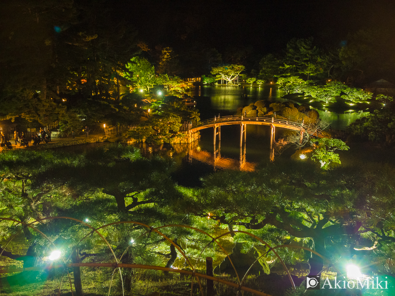 紅葉の栗林公園　夜　夜間ライトアップ