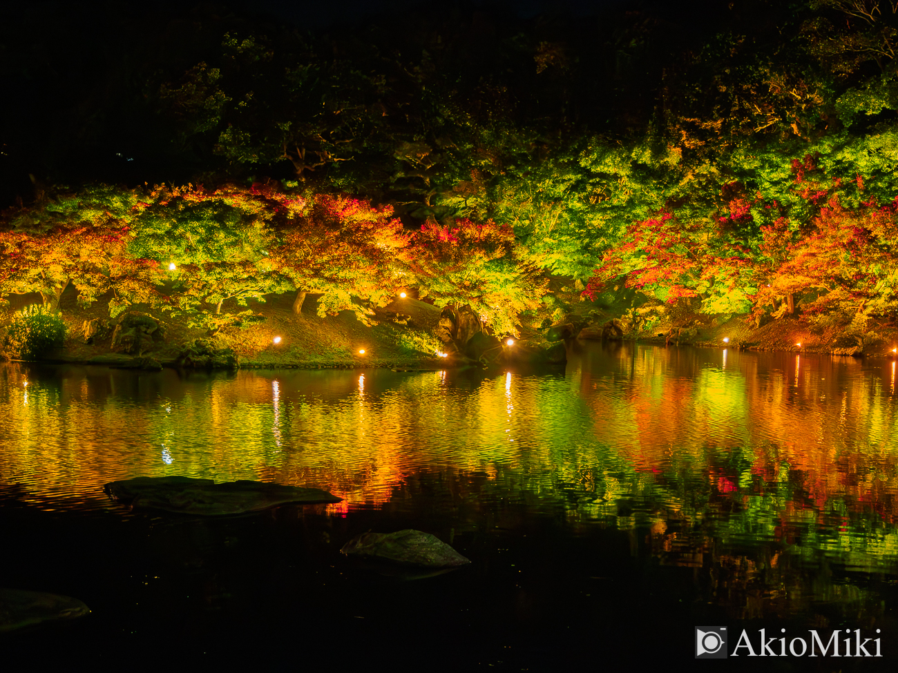 紅葉の栗林公園　夜　夜間ライトアップ