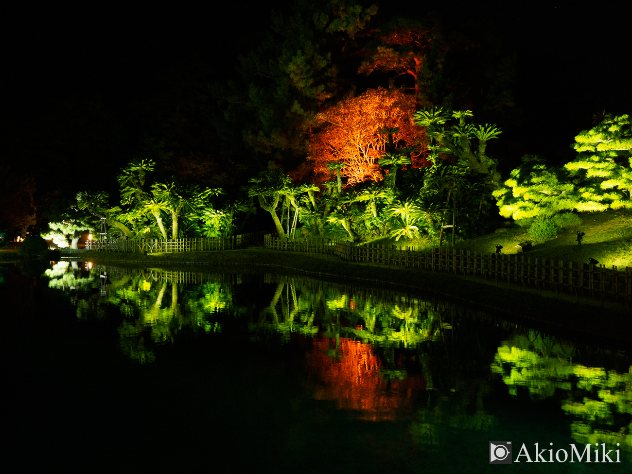 紅葉の栗林公園　夜　夜間ライトアップ