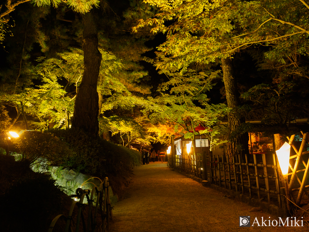 紅葉の栗林公園　夜　夜間ライトアップ