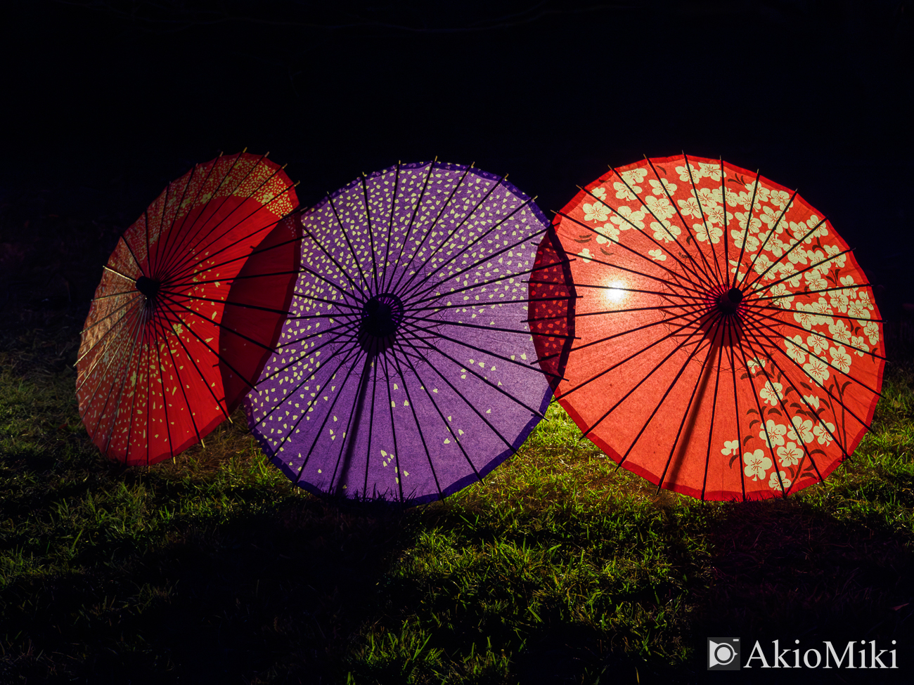 紅葉の栗林公園　夜　夜間ライトアップ