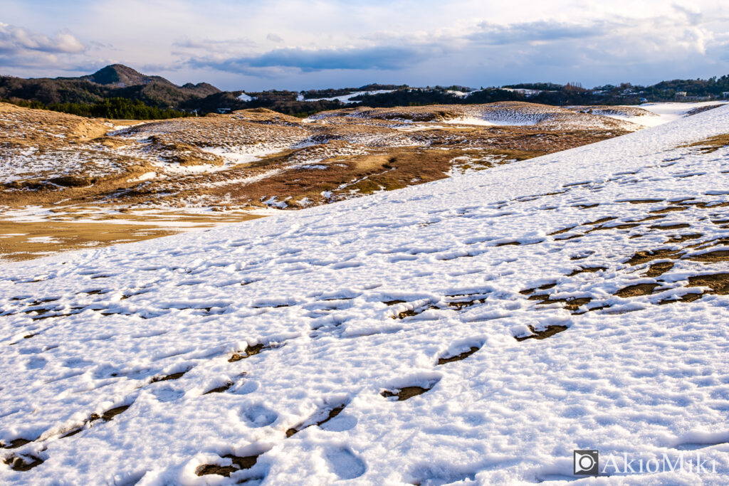 雪が積もった冬の鳥取砂丘