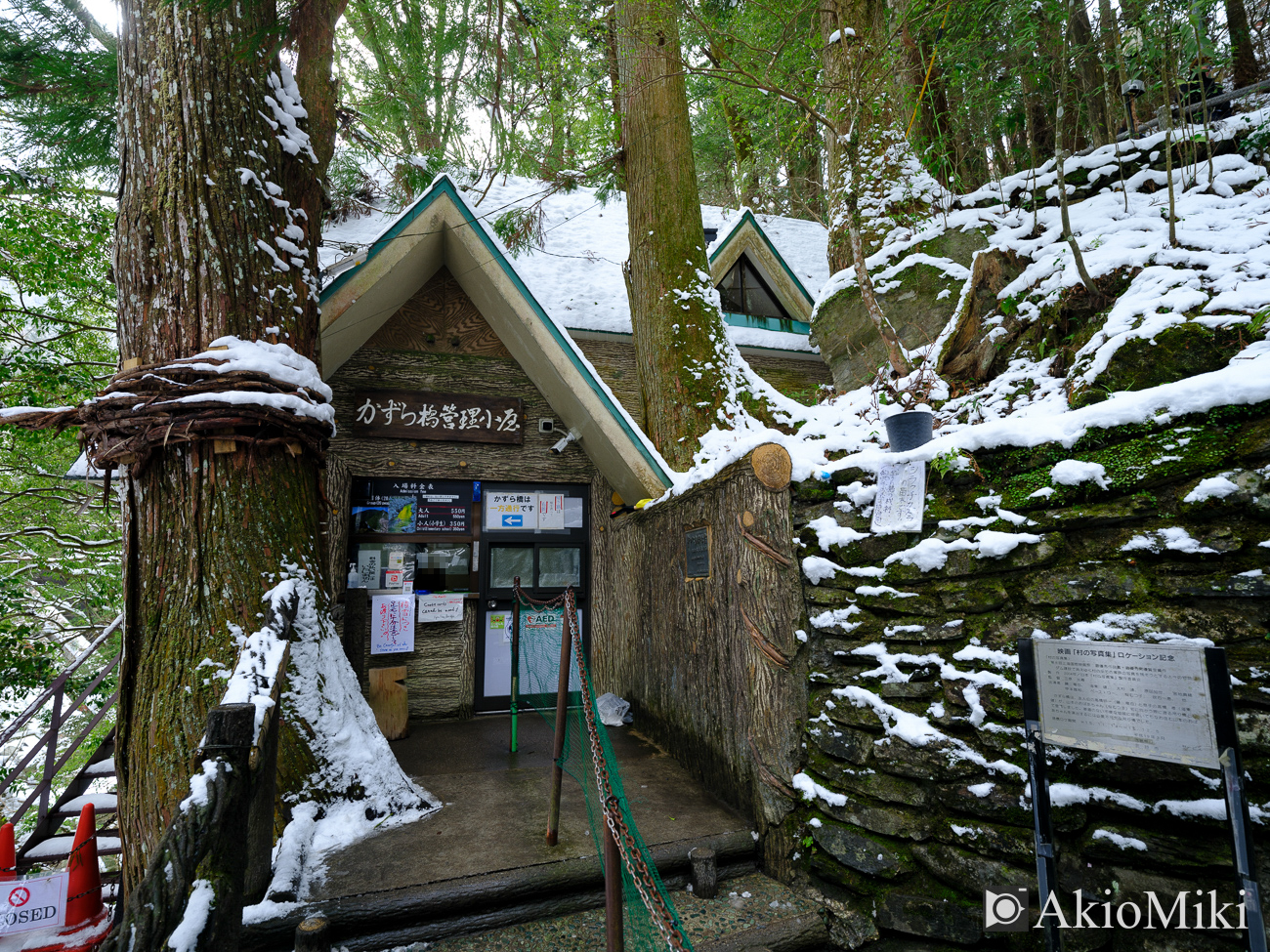 冬の祖谷のかずら橋　徳島県