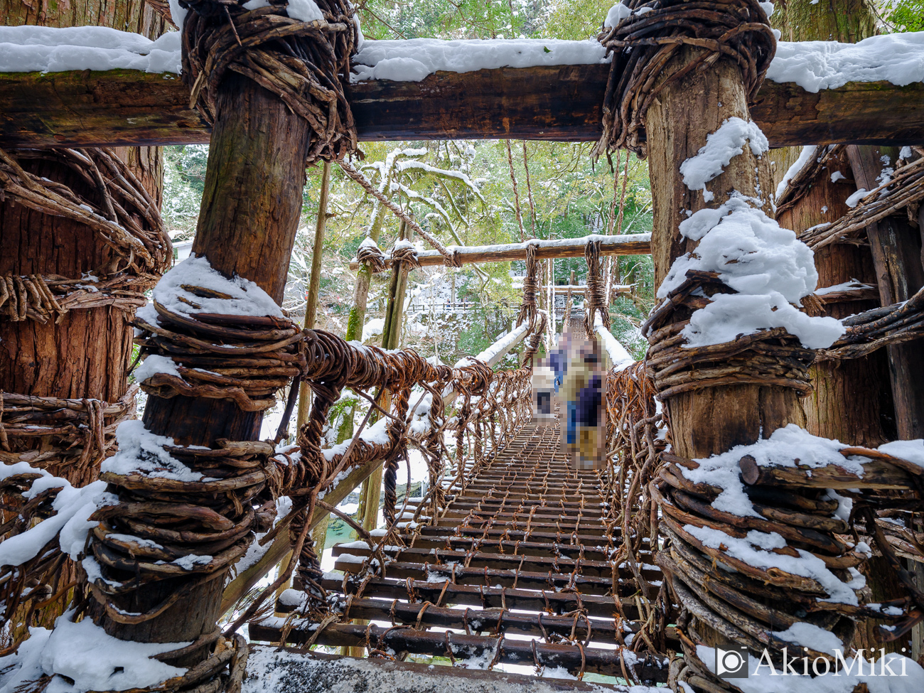 冬の祖谷のかずら橋　徳島県