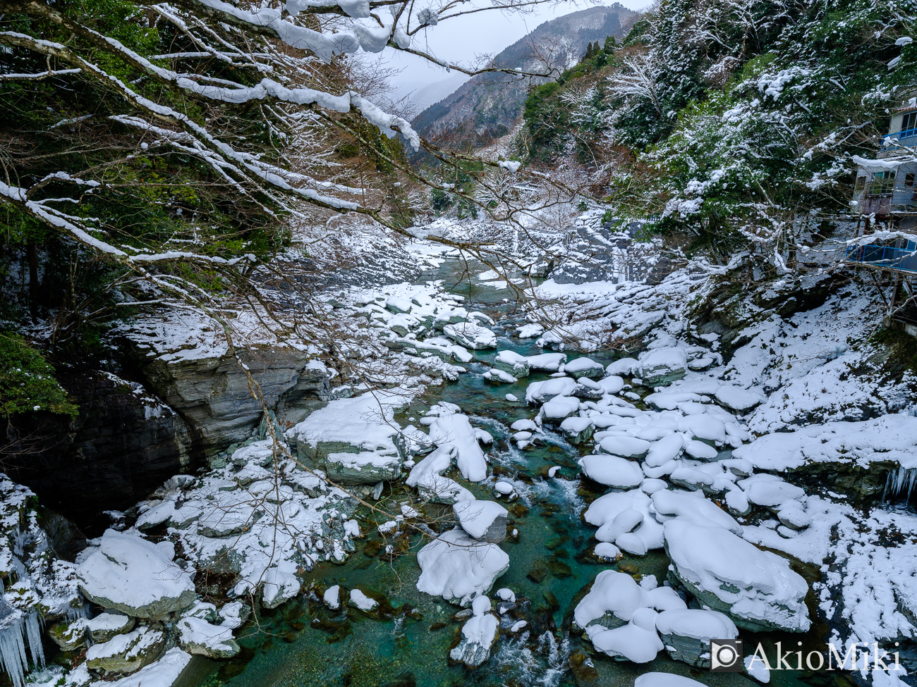 冬の祖谷のかずら橋　徳島県