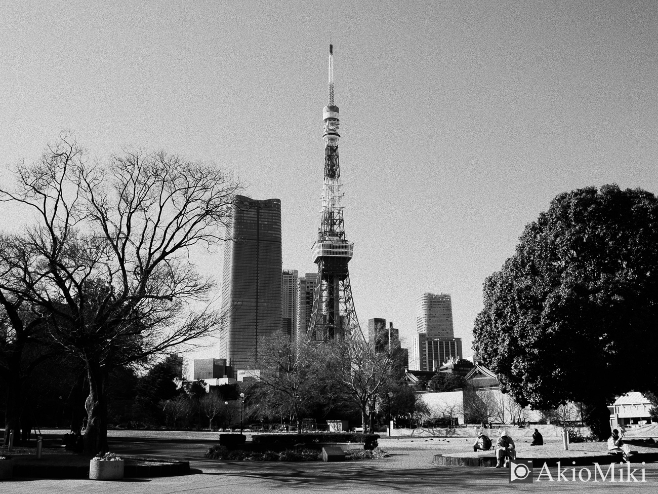 OM-3 モノクローム 三田周辺 東京