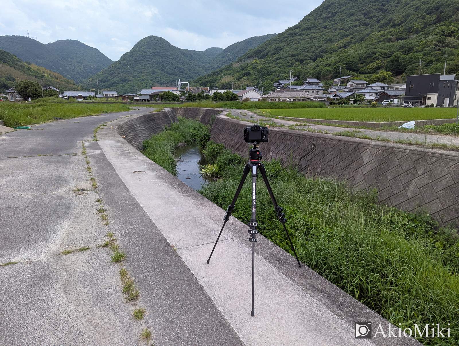 ゲンジボタル 撮影