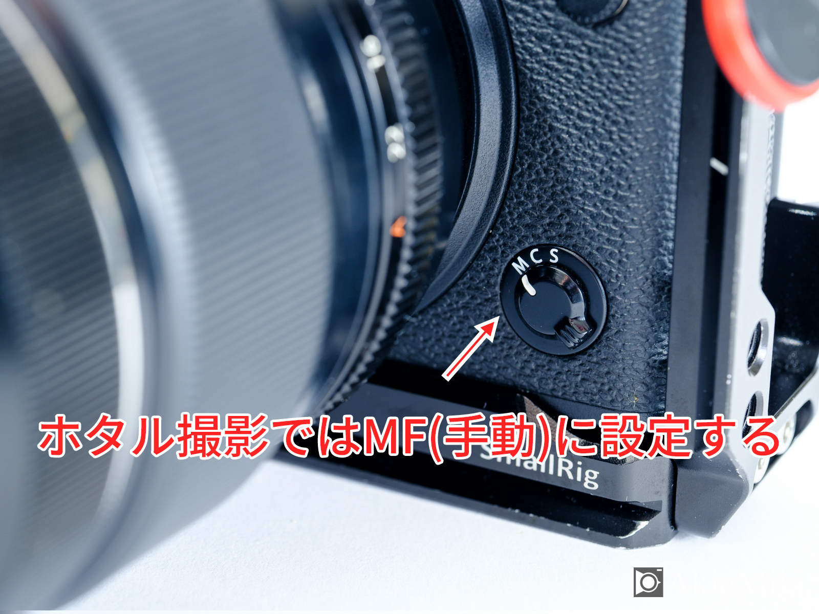 ホタル撮影 MF