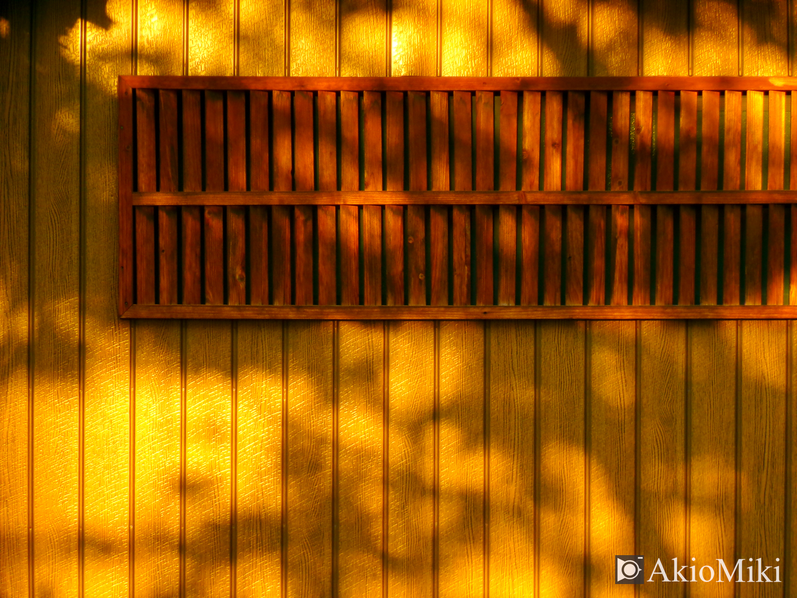 KODAK FZ55