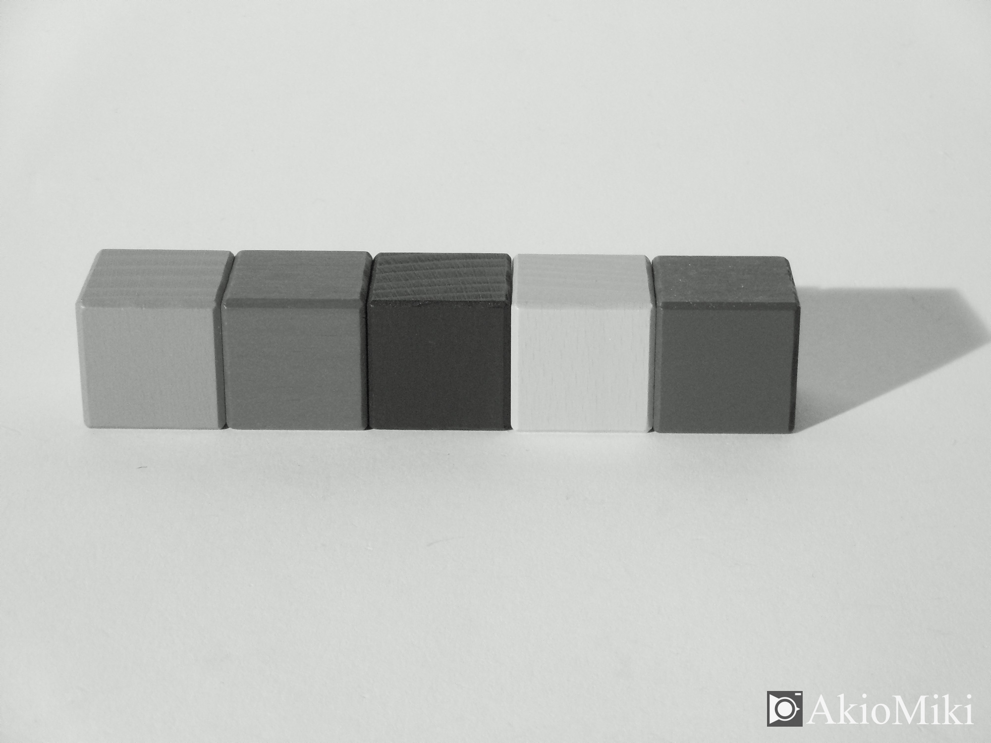 KDOAK FZ55　モノクロ