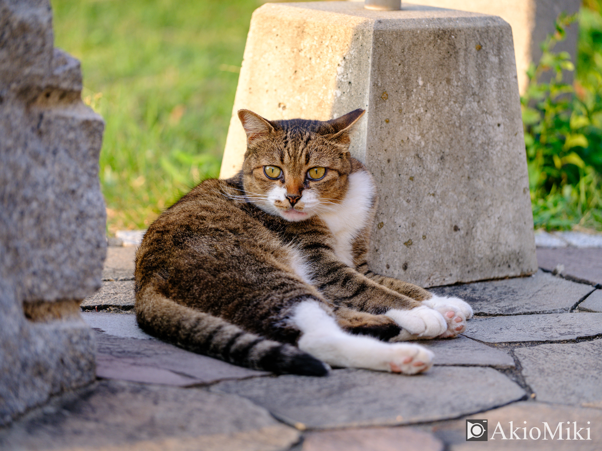 GFX100SⅡ + GF100-200mm F5.6 R LM OIS WR