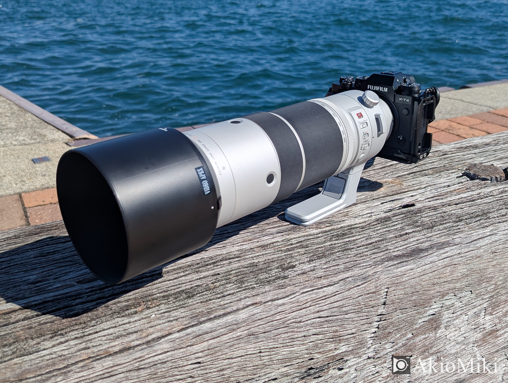 X-T4 + XF150-600mm F5.6-8 R LM OIS WR