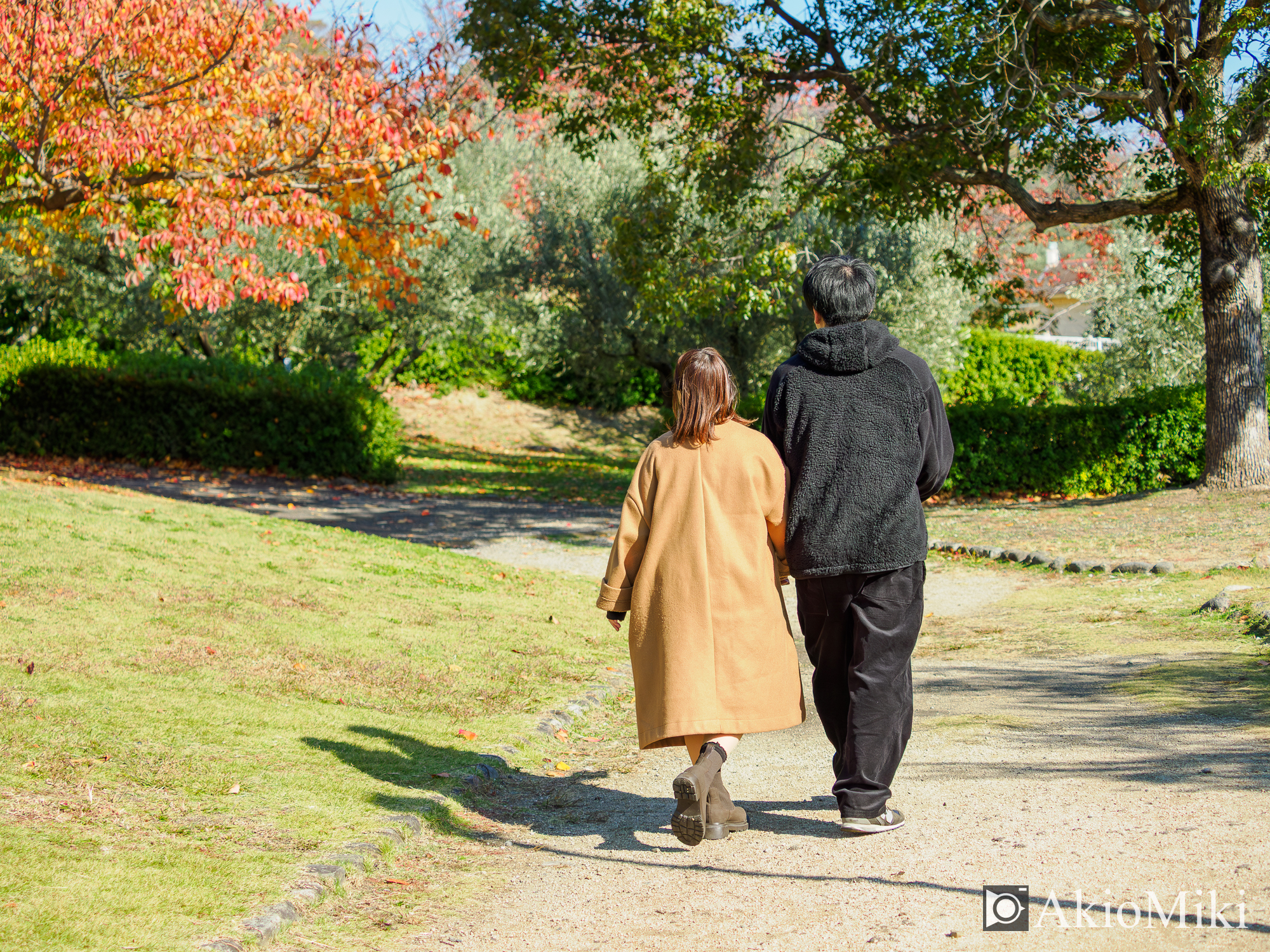 OM-3 + M.ZUIKO DIGITAL ED 17mm F1.2 PRO