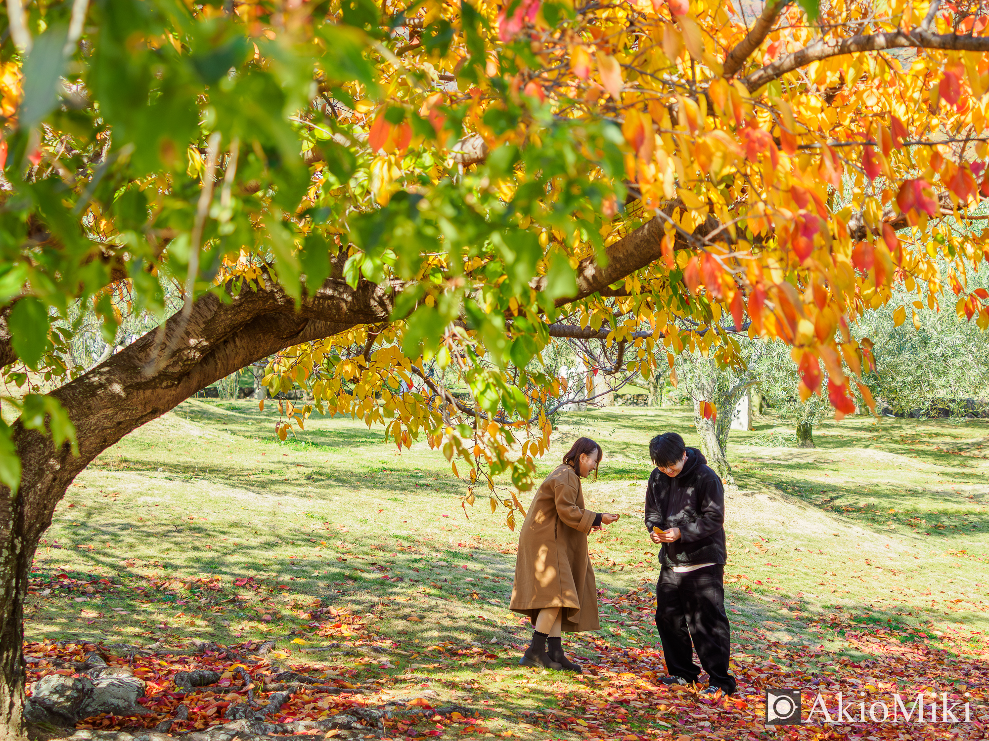 OM-3　人物写真　ポートレート