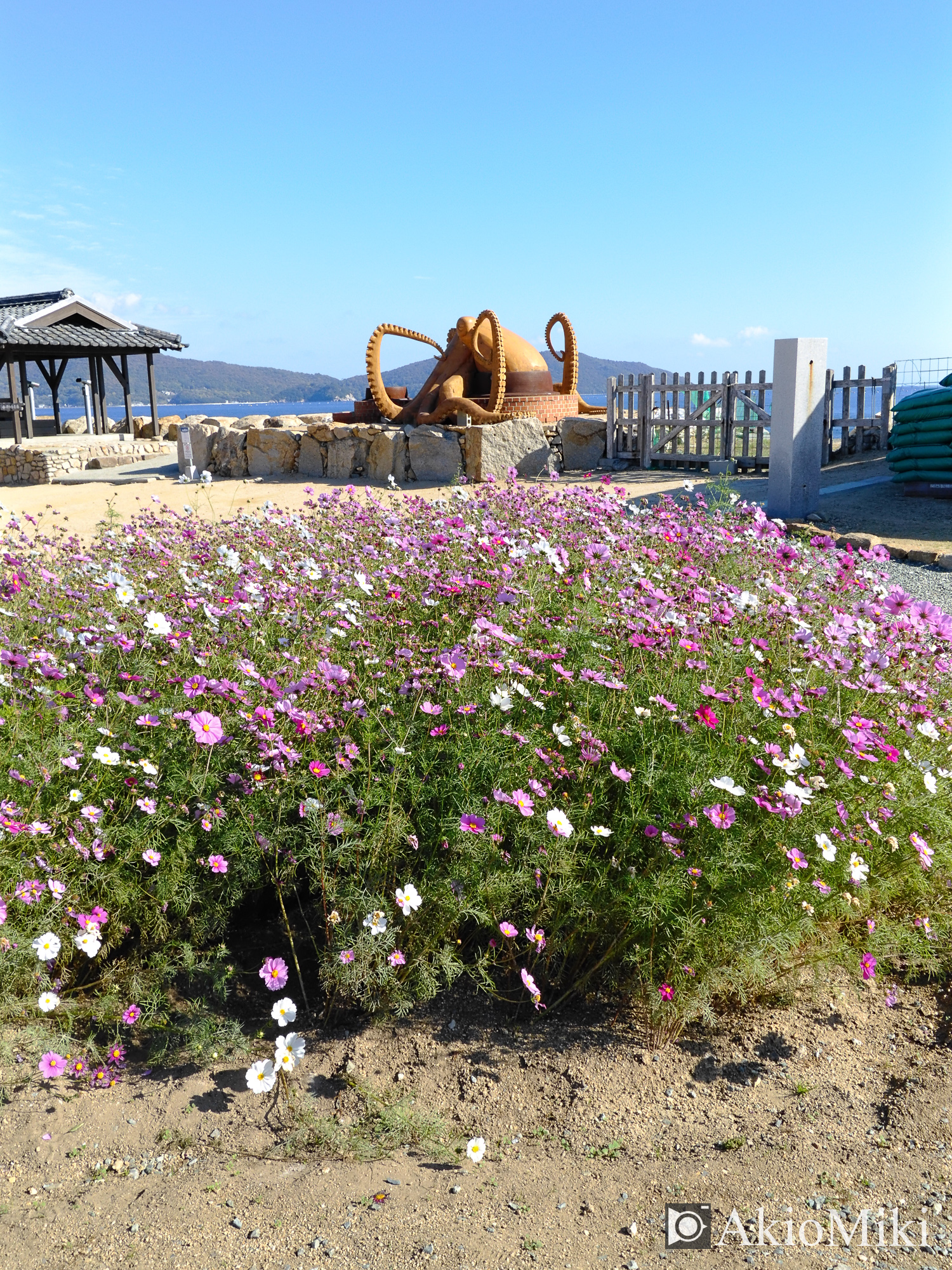 X half 二十四の瞳映画村 岬の分教場 Velvia