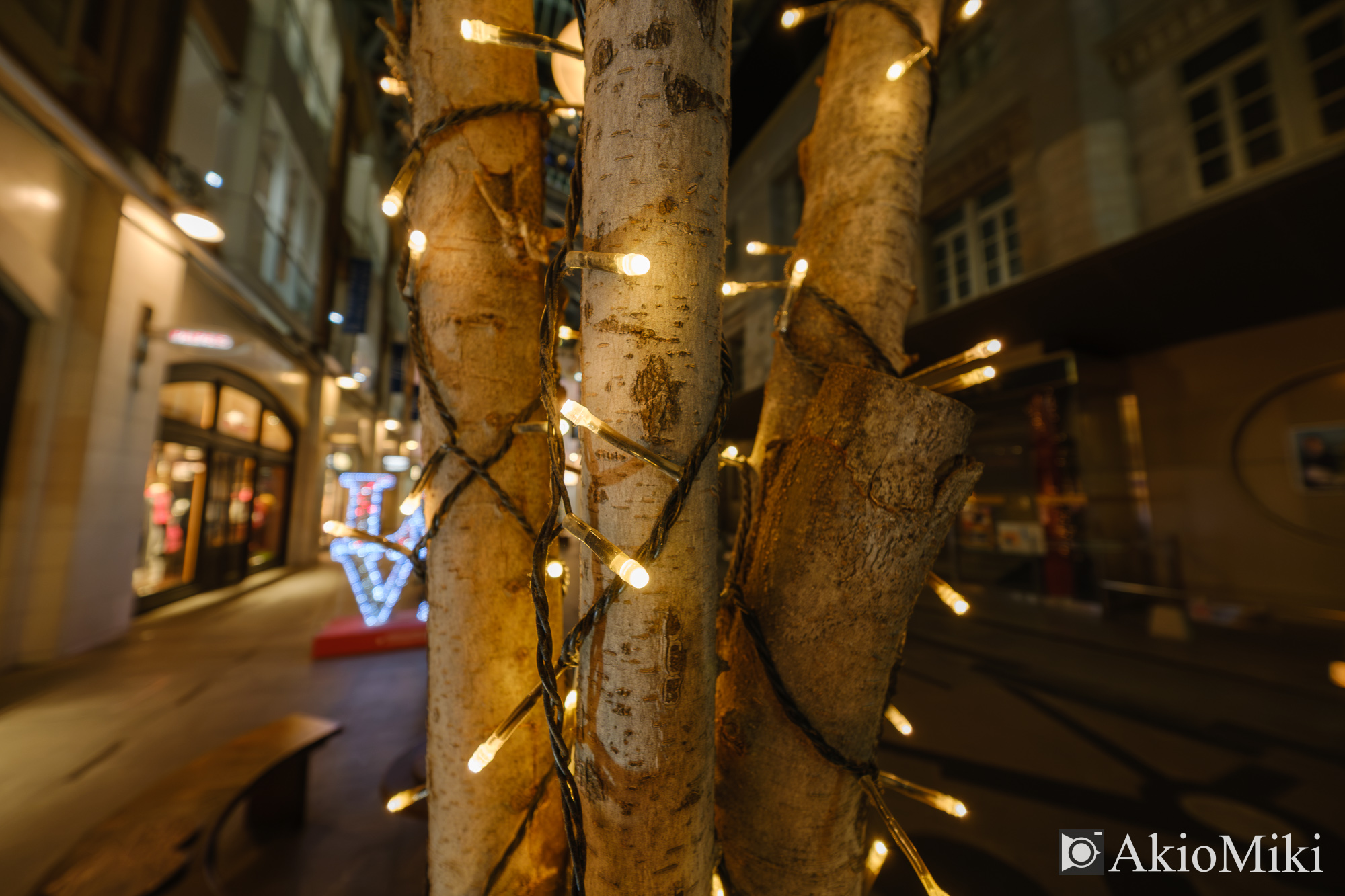 X-T4 + XF 8mm F3.5 R WR