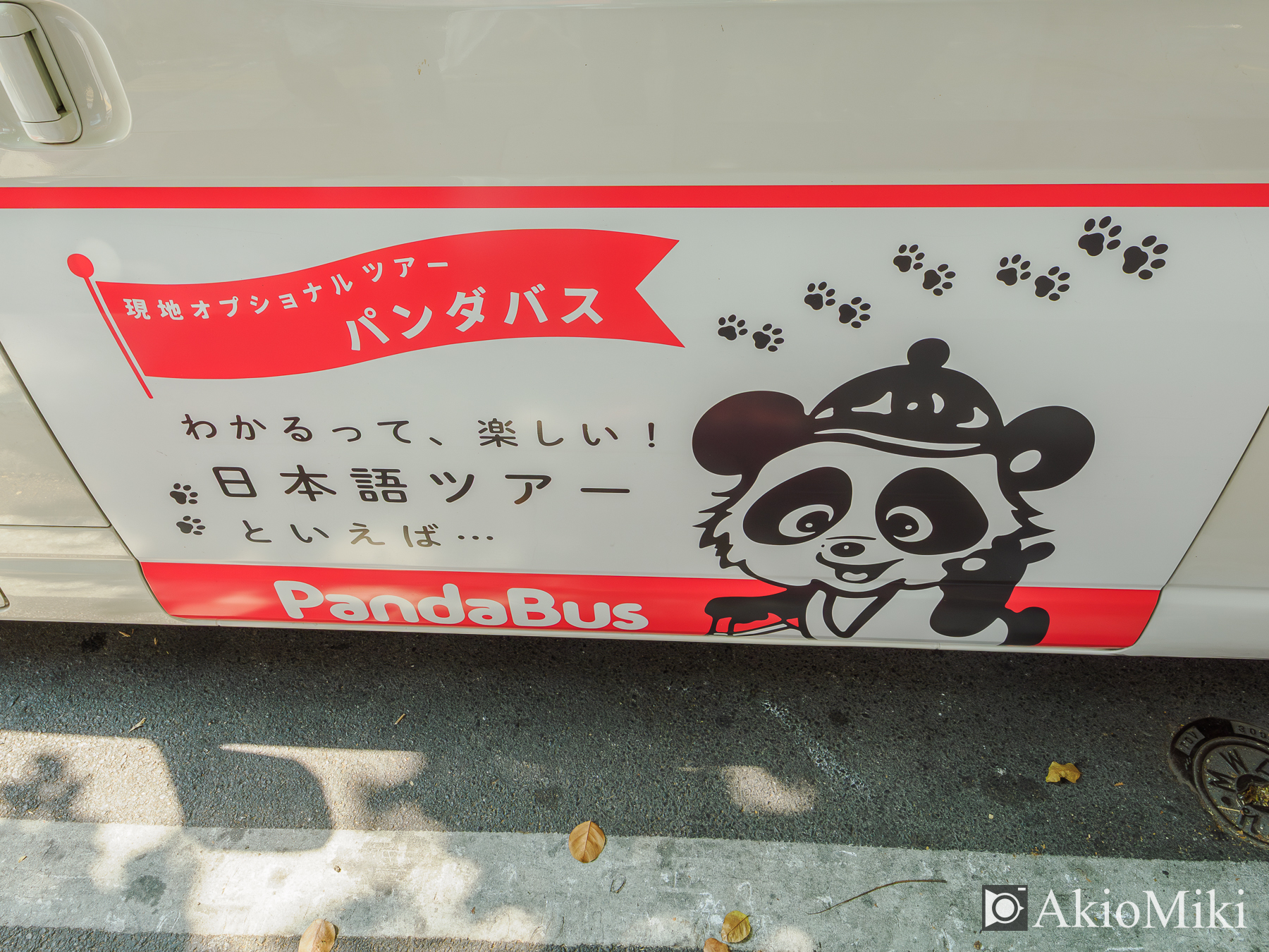 本格的な象乗り体験 + ダムヌンサドゥアック水上マーケット半日観光