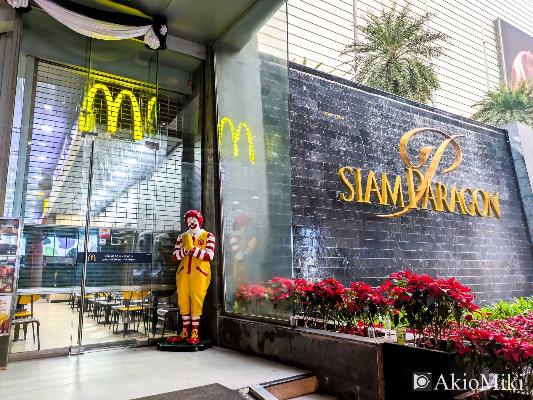 本格的な象乗り体験 + ダムヌンサドゥアック水上マーケット半日観光